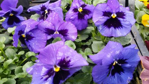 20160308_120458_32398558643_o