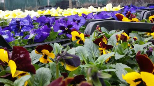 20160308_120539_32369179584_o