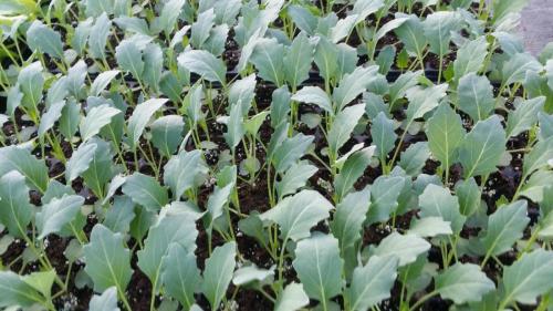 20160413_185950_33085705131_o