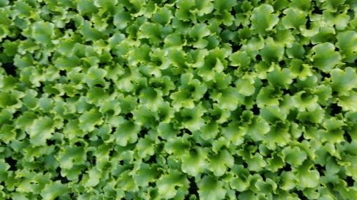 20160413_185959_33085702601_o