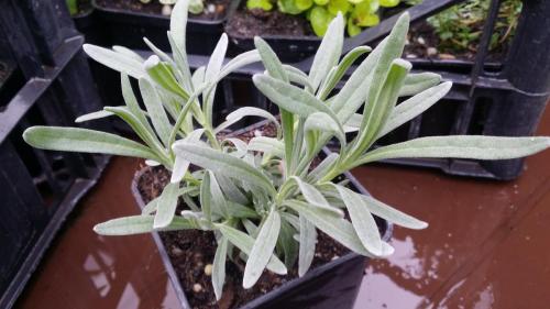 20160414_153747_32369157764_o