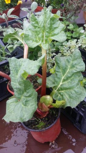 20160414_153913_33085677201_o