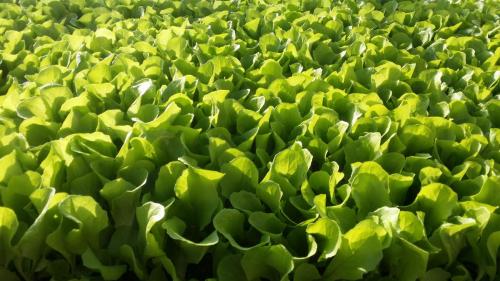 20160421_175215_33171948186_o